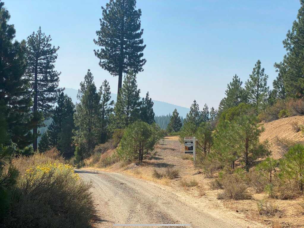 1737 & 1863 Clio State 40A Road - Photo 1