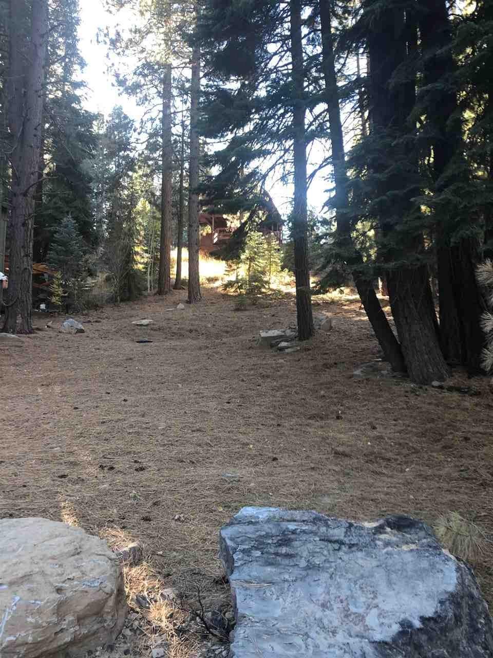 10644 Snowshoe Circle - Photo 1