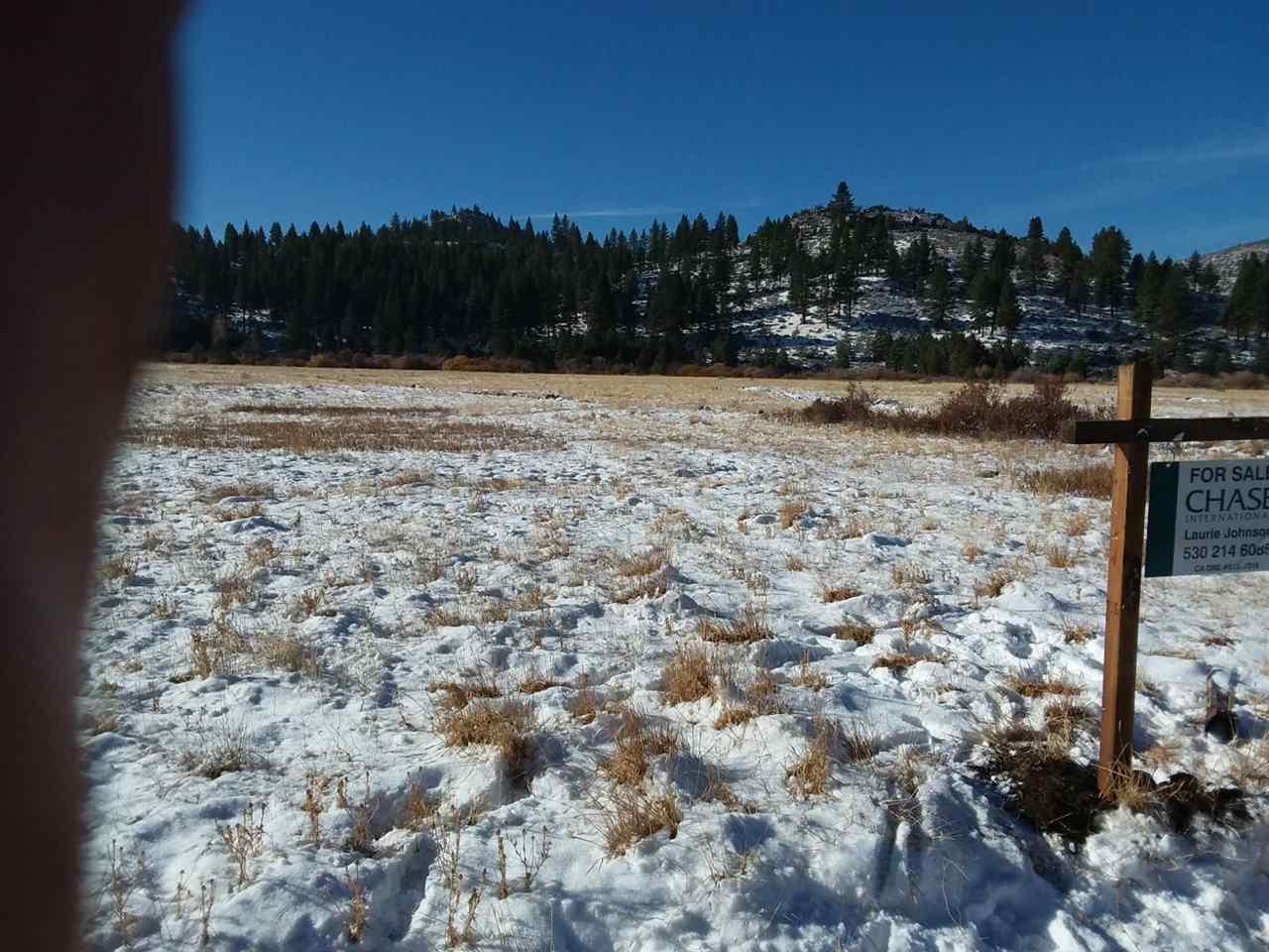973 Sierra Brooks Drive - Photo 1
