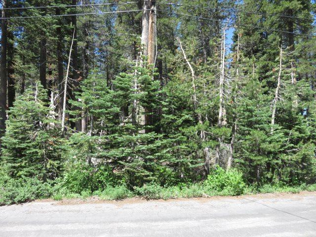 5770 Soda Springs Road - Photo 1