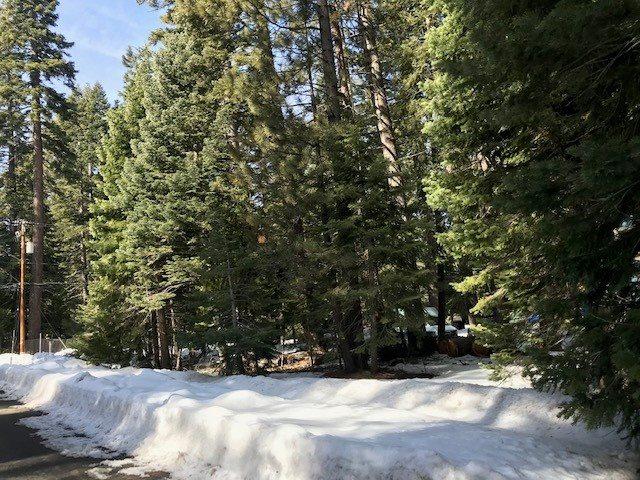 7286 3rd Avenue - Photo 1