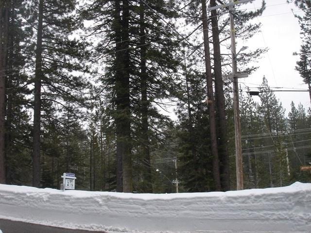 51051 Jeffery Pine Drive - Photo 1