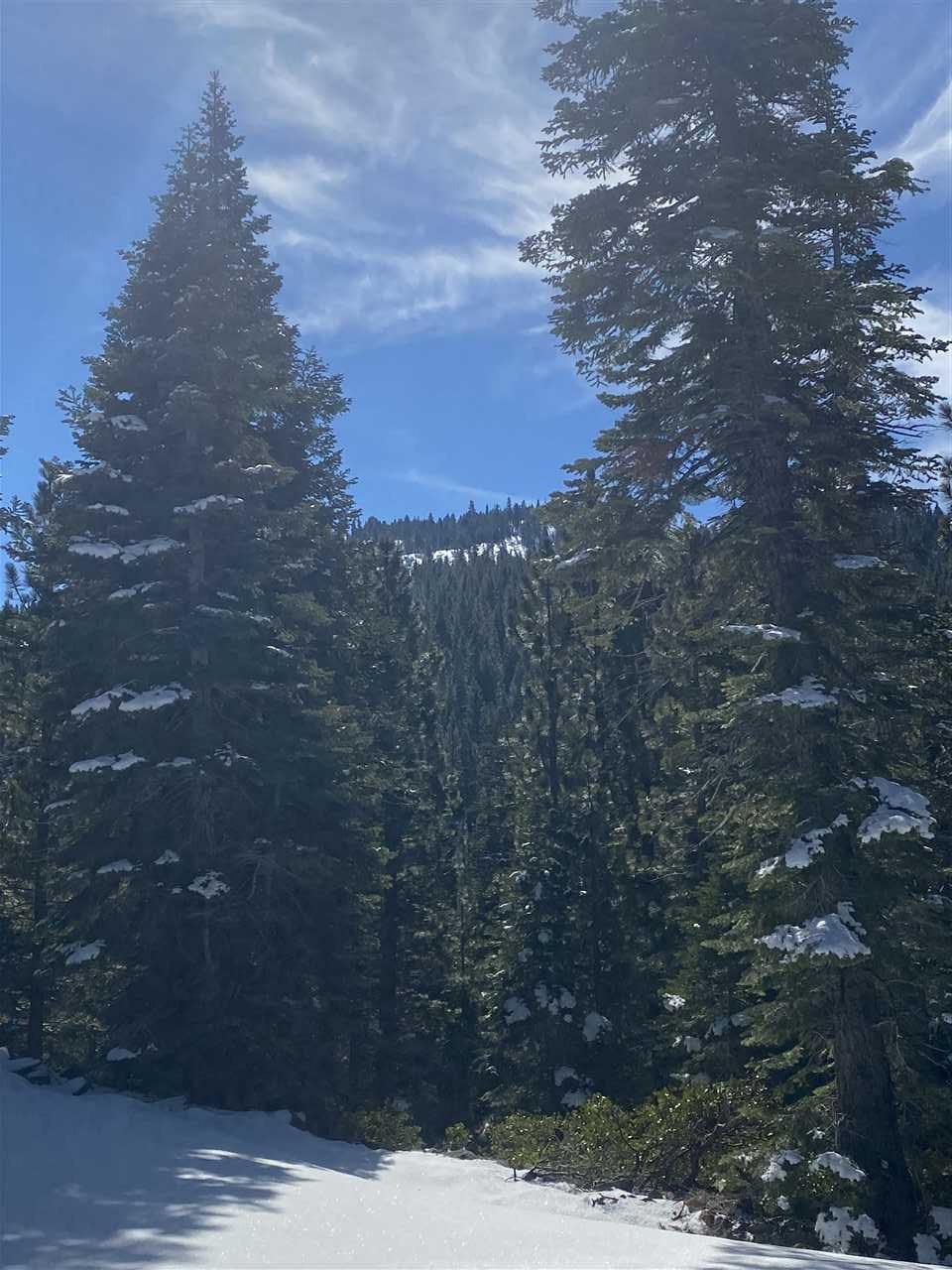 12901 Highway 89 - Photo 1