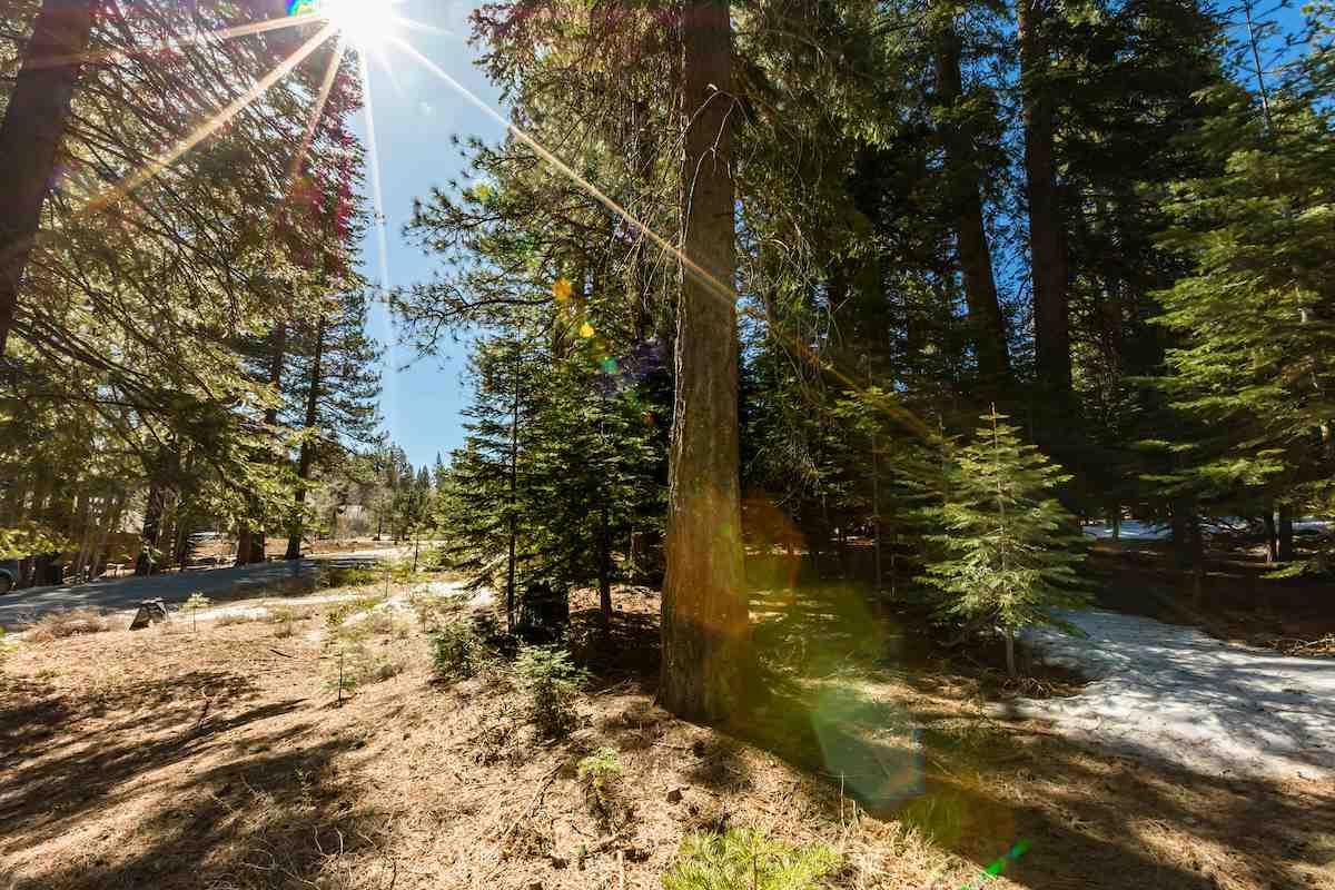 11035 Palisades Drive - Photo 1