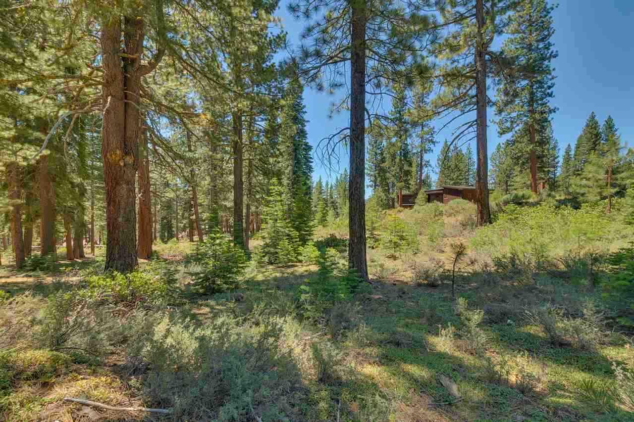 11759 Coburn Drive - Photo 1
