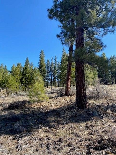 1865 Grizzly Ranch Road - Photo 1