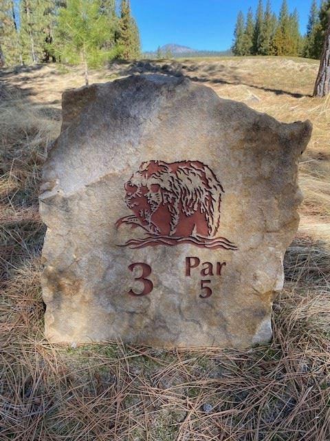 16 Big Grizzly Road - Photo 1