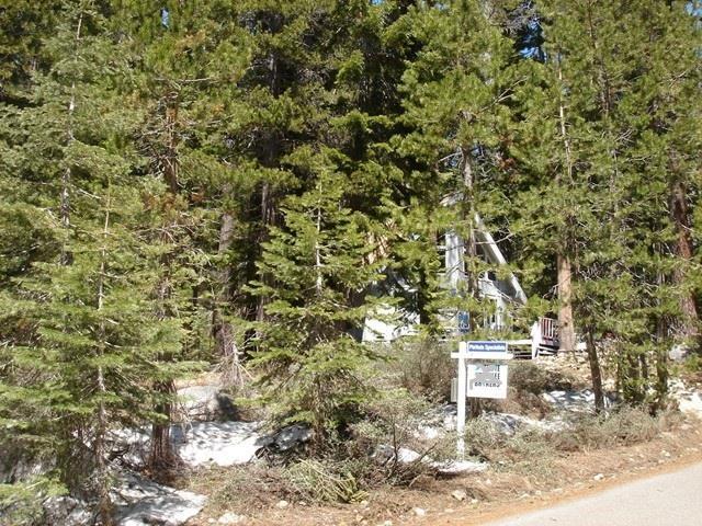 50886 Jeffery Pine Drive - Photo 1
