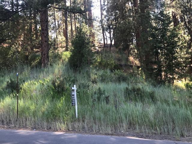 10448 Somerset Drive - Photo 1