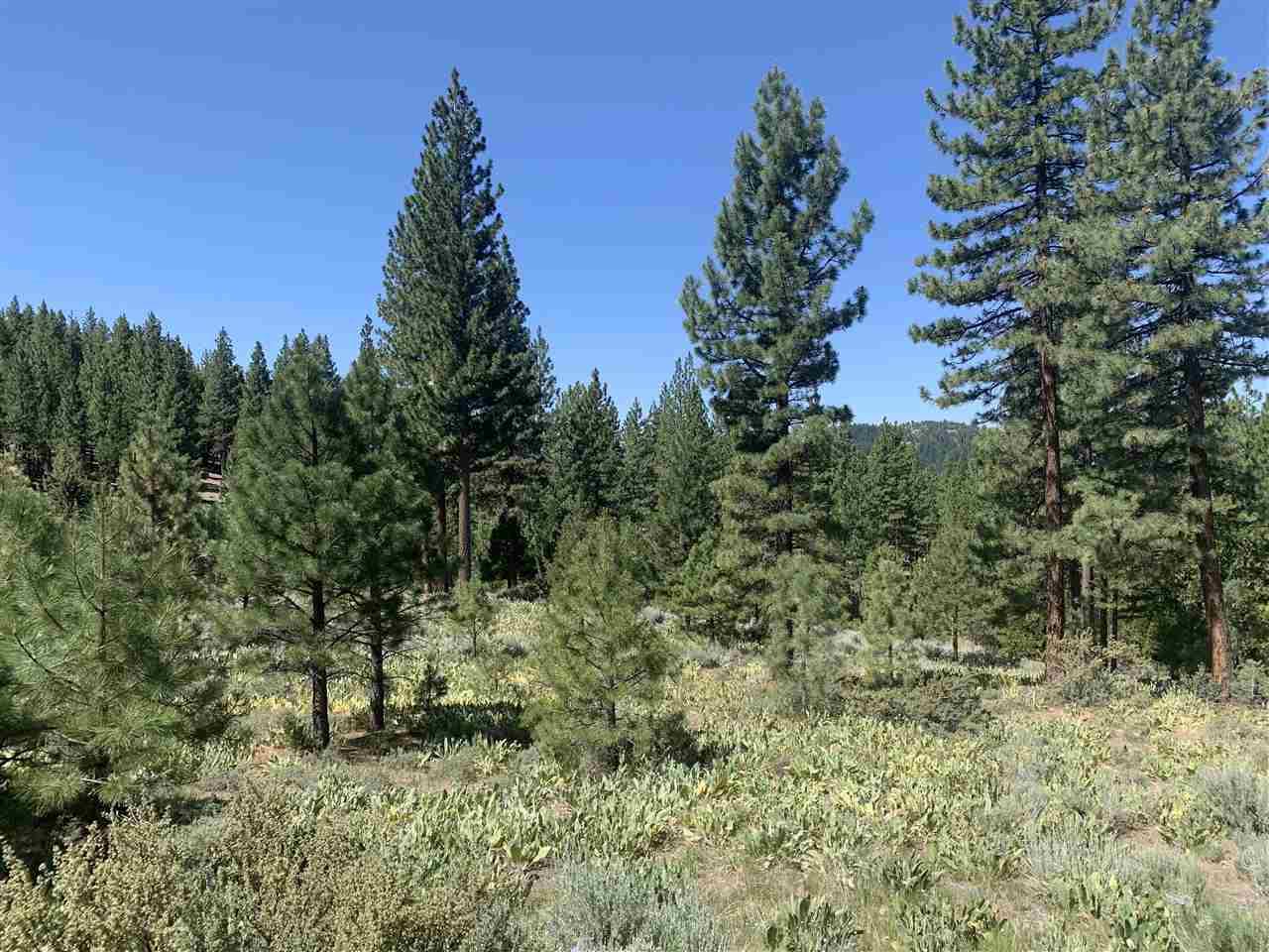1865 Grizzly Ranch Road - Photo 1