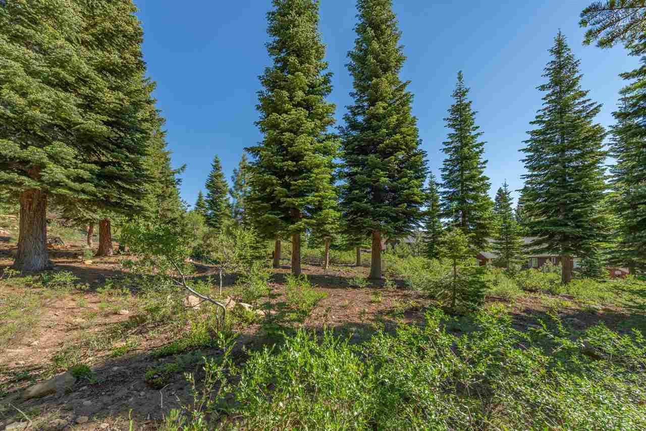 14789 Northwoods Boulevard - Photo 1