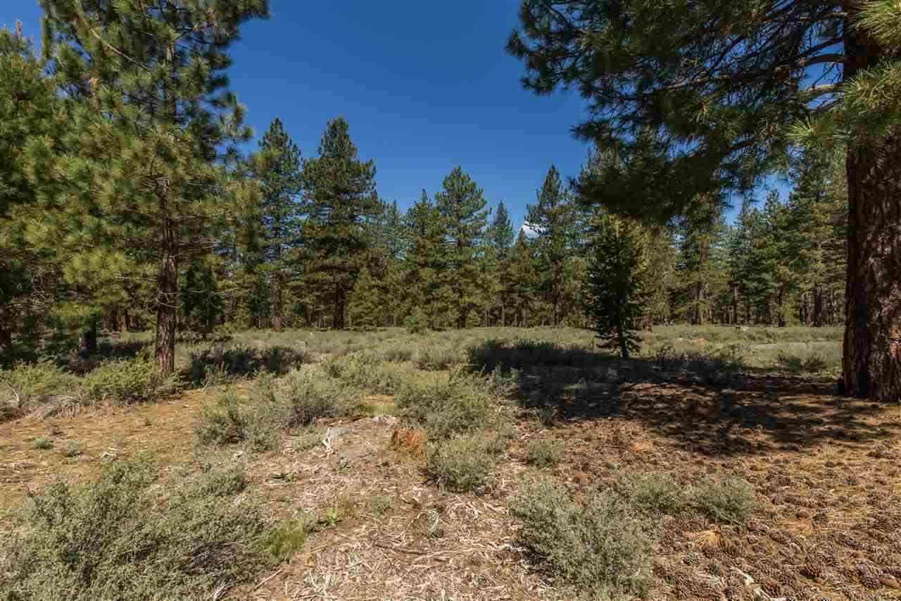12506 Caleb Drive - Photo 1