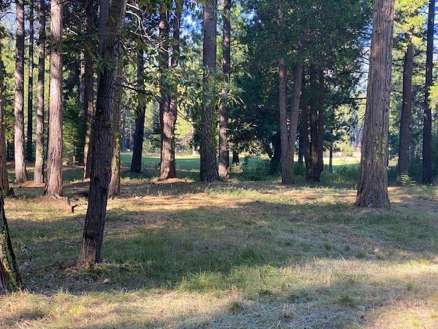 945 Prospector Drive - Photo 1