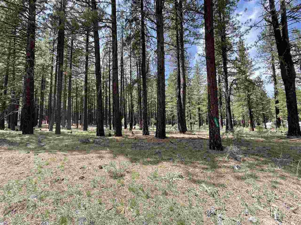 5739 Iron Horse Drive - Photo 1