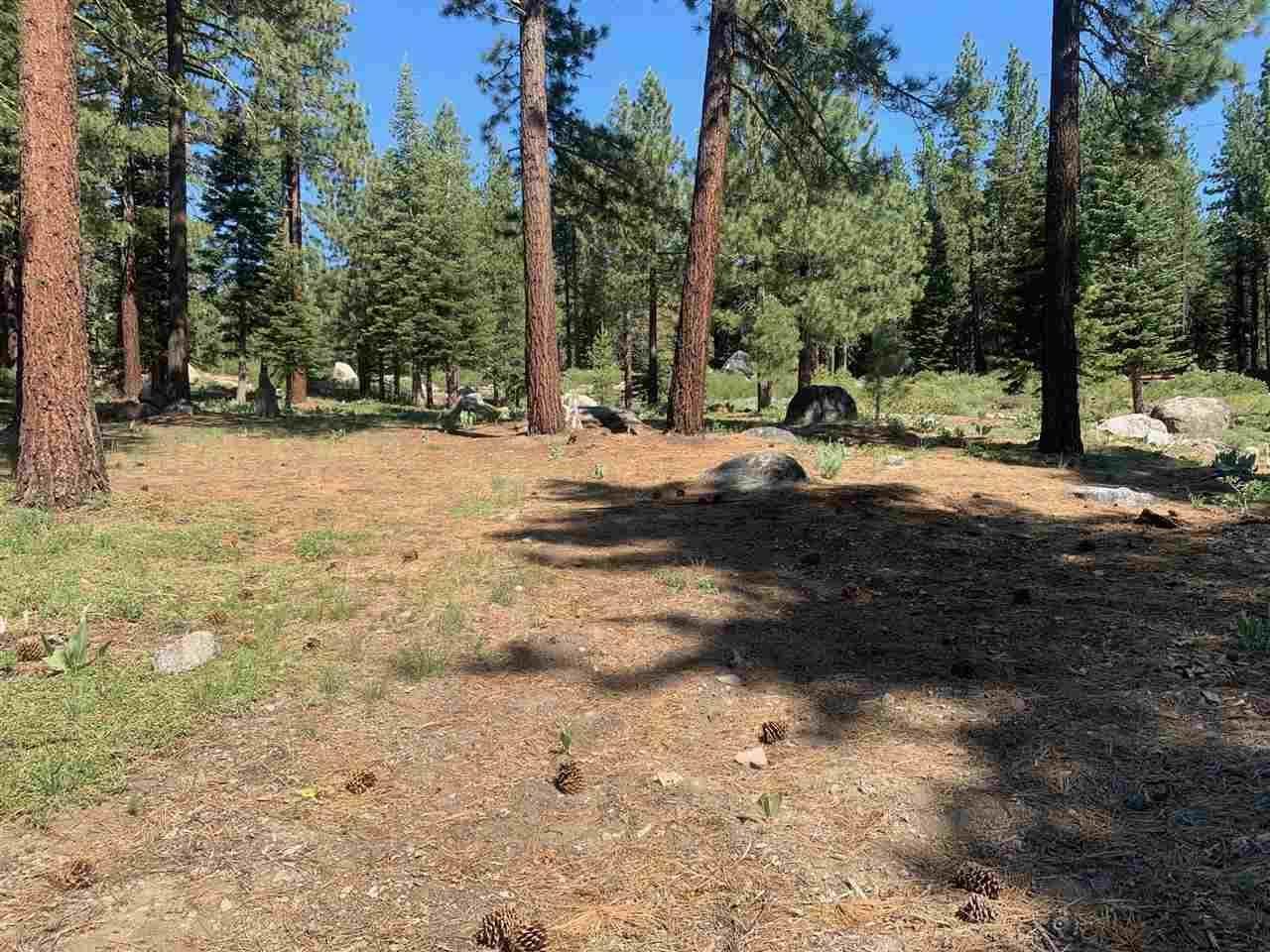 11840 Lamplighter Way - Photo 1