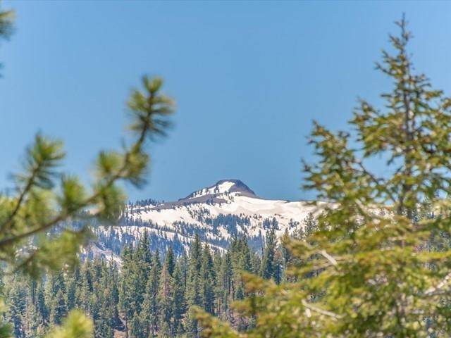 12593 Sierra Drive - Photo 1
