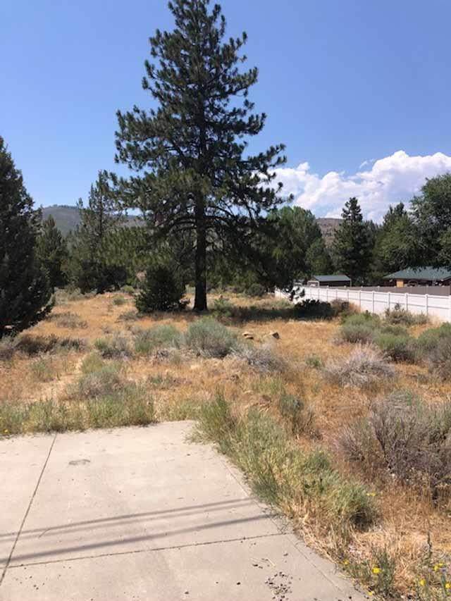 703 Roundup Drive - Photo 1