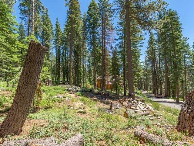 51217 Jeffery Pine Drive - Photo 1