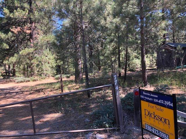 7741 Buckbrush Drive - Photo 1
