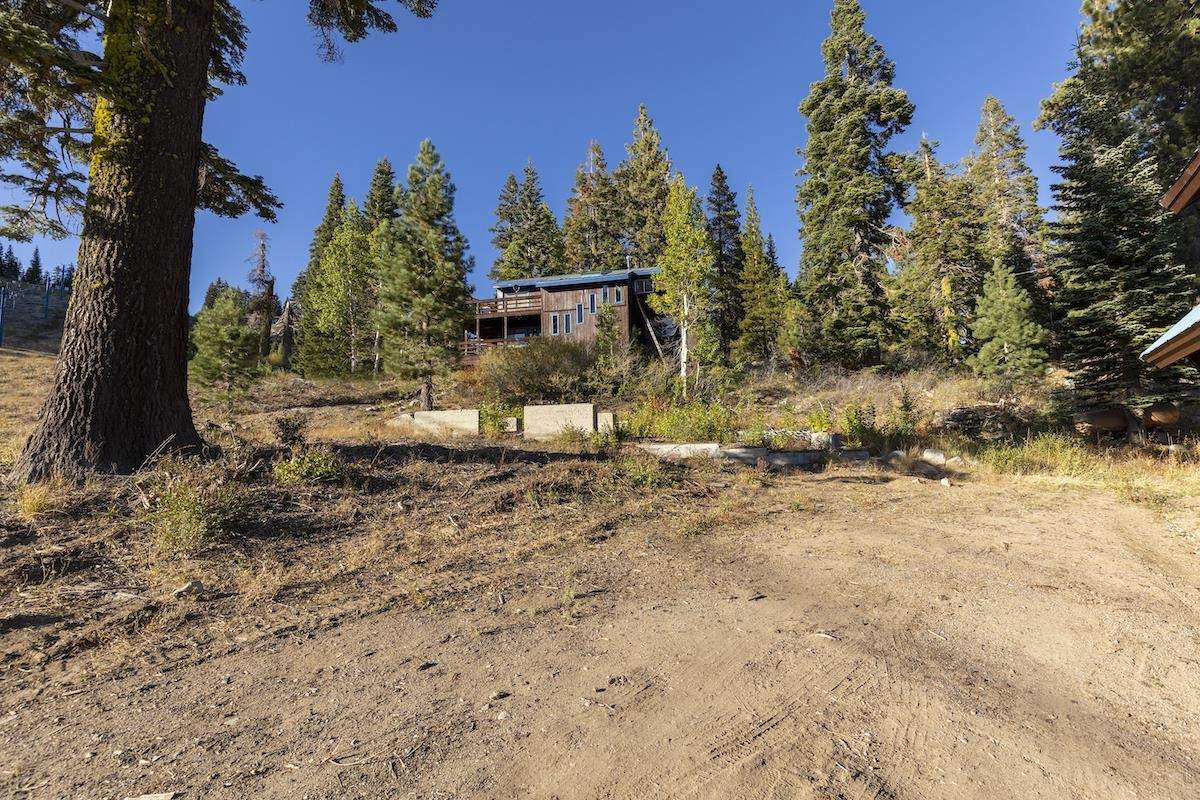10203 Lake Angela Drive - Photo 1