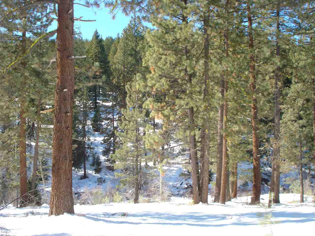 301 Big Grizzly Road - Photo 1