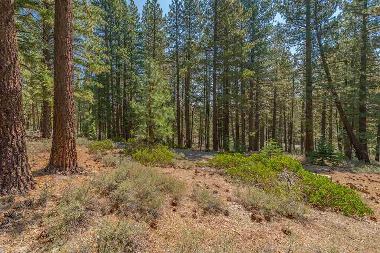 11523 China Camp Road - Photo 1