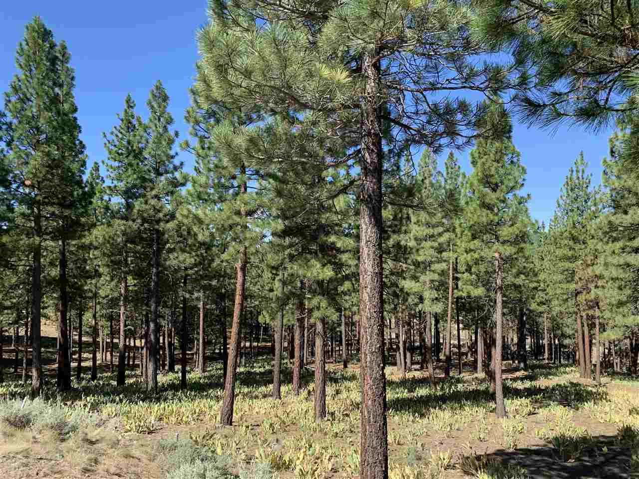 348 Starflower Drive - Photo 1
