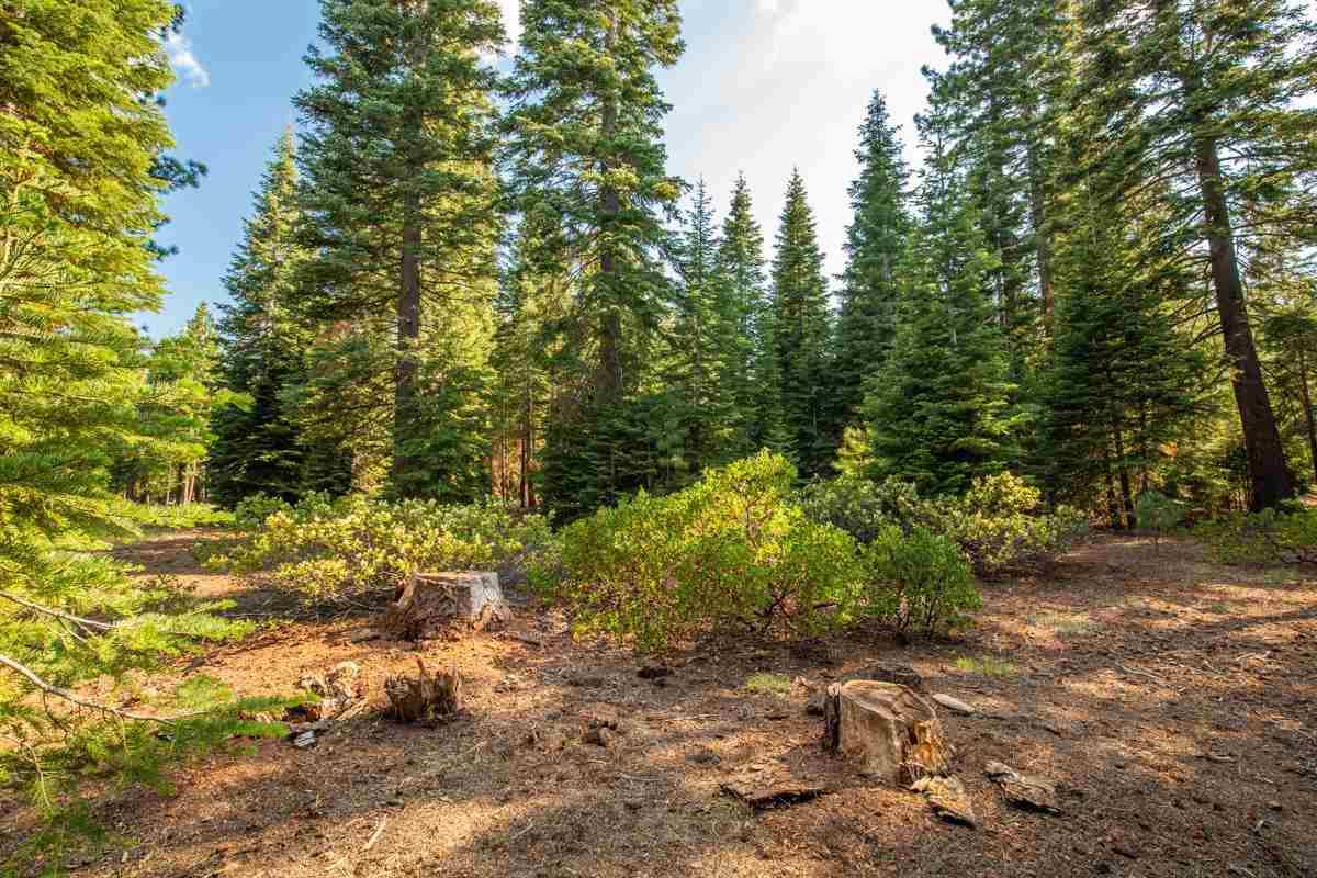 8406 Valhalla Drive - Photo 1