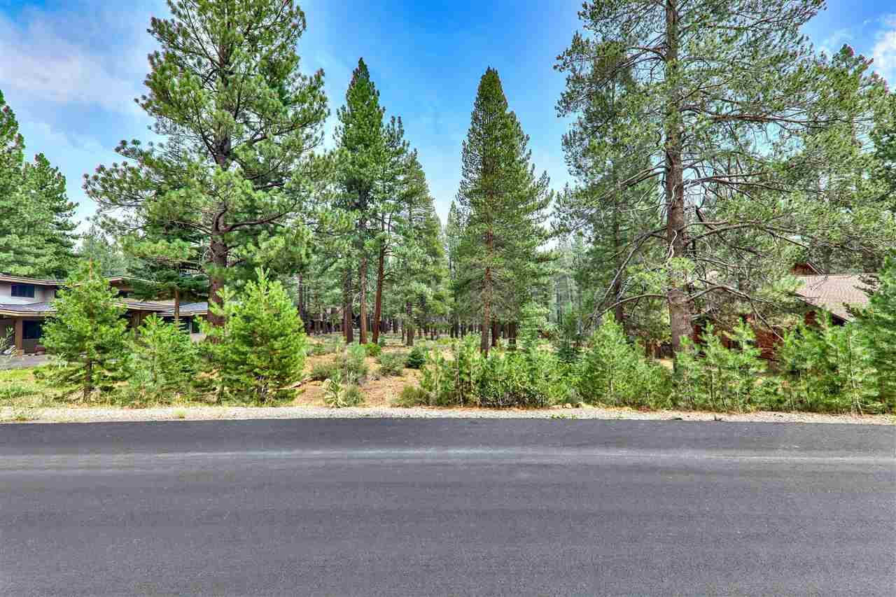 11801 Bottcher Loop - Photo 1