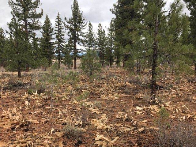7455 Lahontan Drive - Photo 1