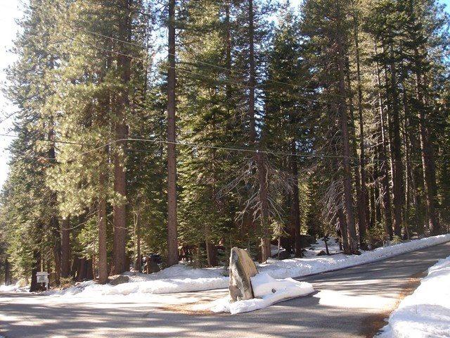 50946 White Fir Terrace - Photo 1