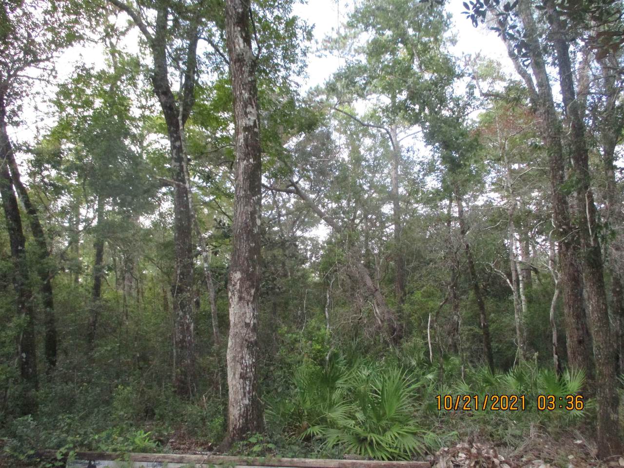 XX Seminole Lane - Photo 1