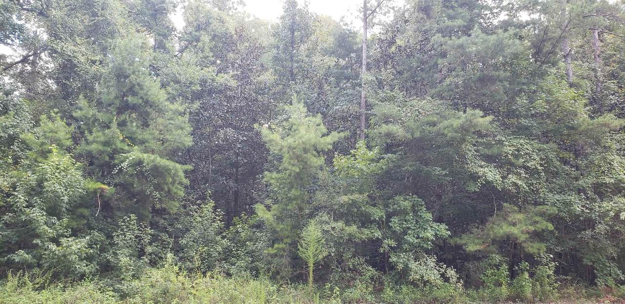 0 Ranch Road - Photo 1