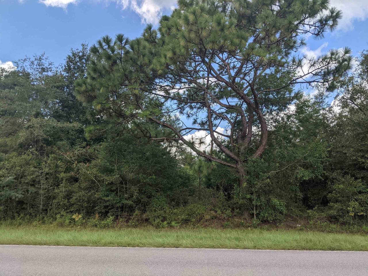 Vacant Cr 53 - Photo 1