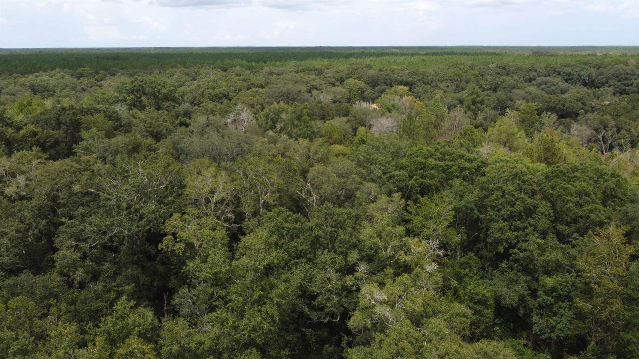 000 Canopy Lane - Photo 1