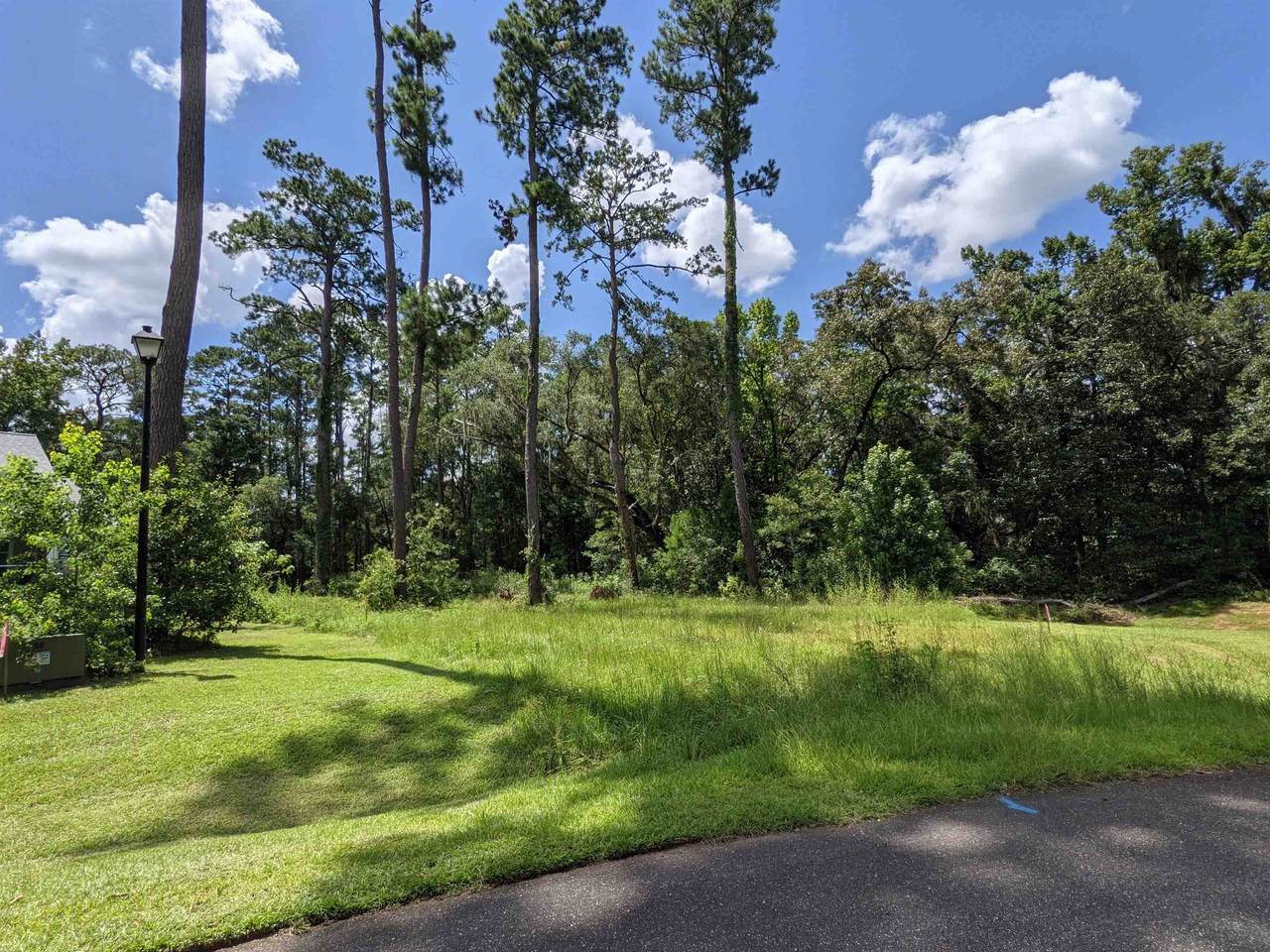 4956 Southern Oaks Drive - Photo 1