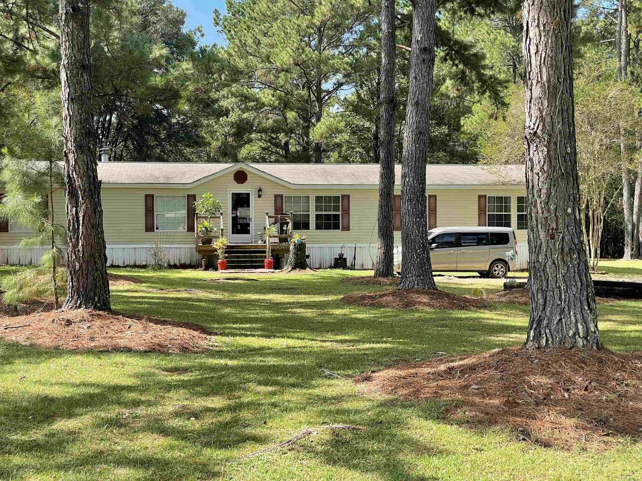 10379 Roger Hamlin Road - Photo 1