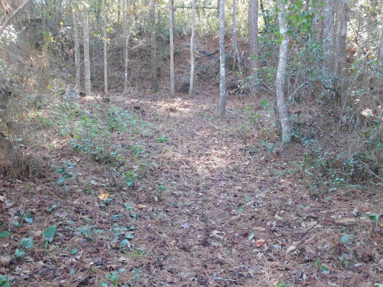 0 Collins Landing Road - Photo 1