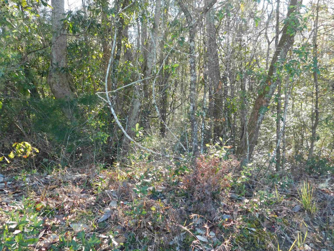 0 Collins Landing Road - Photo 1