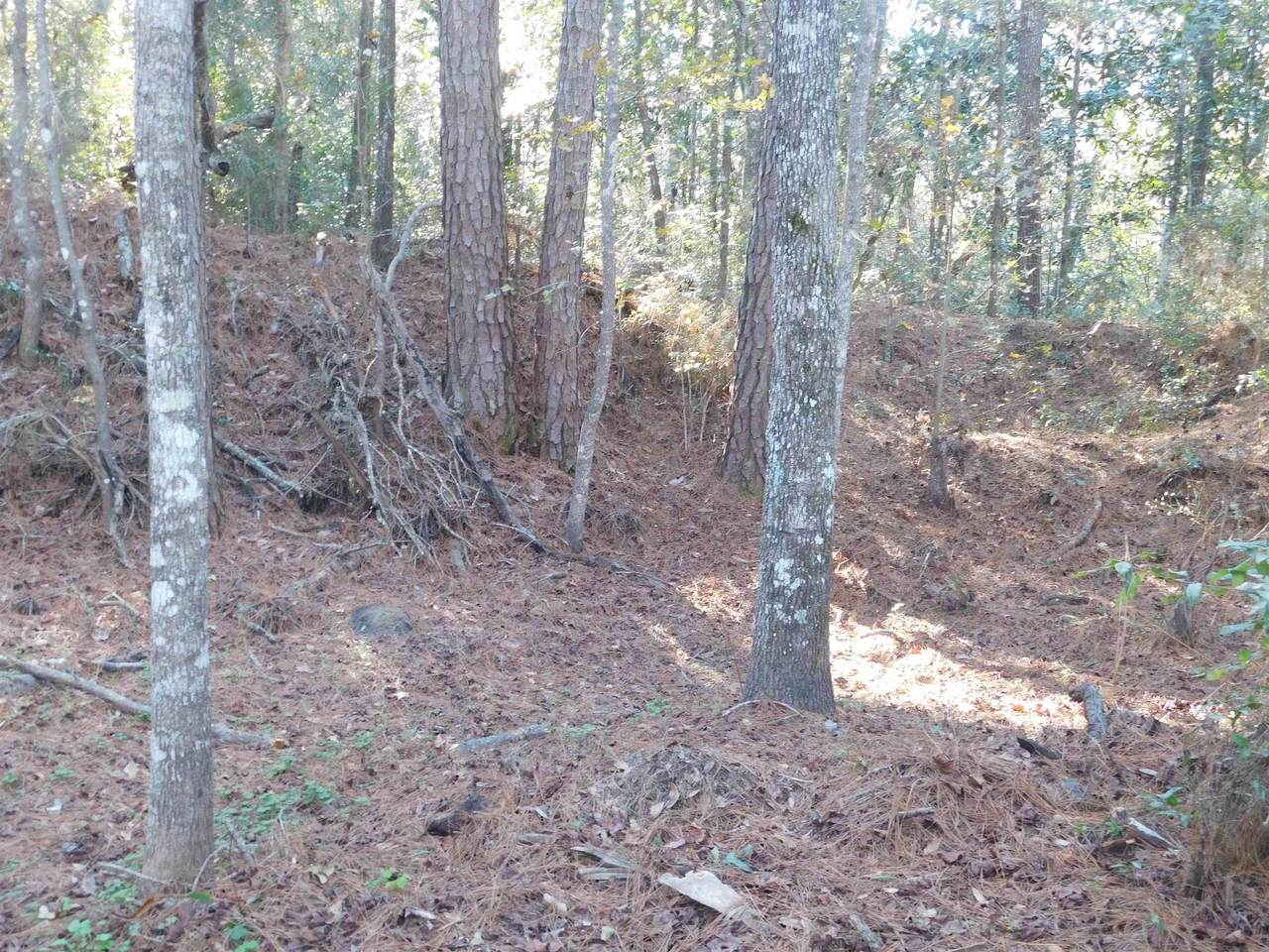 0 Collins Landing Road - Photo 1