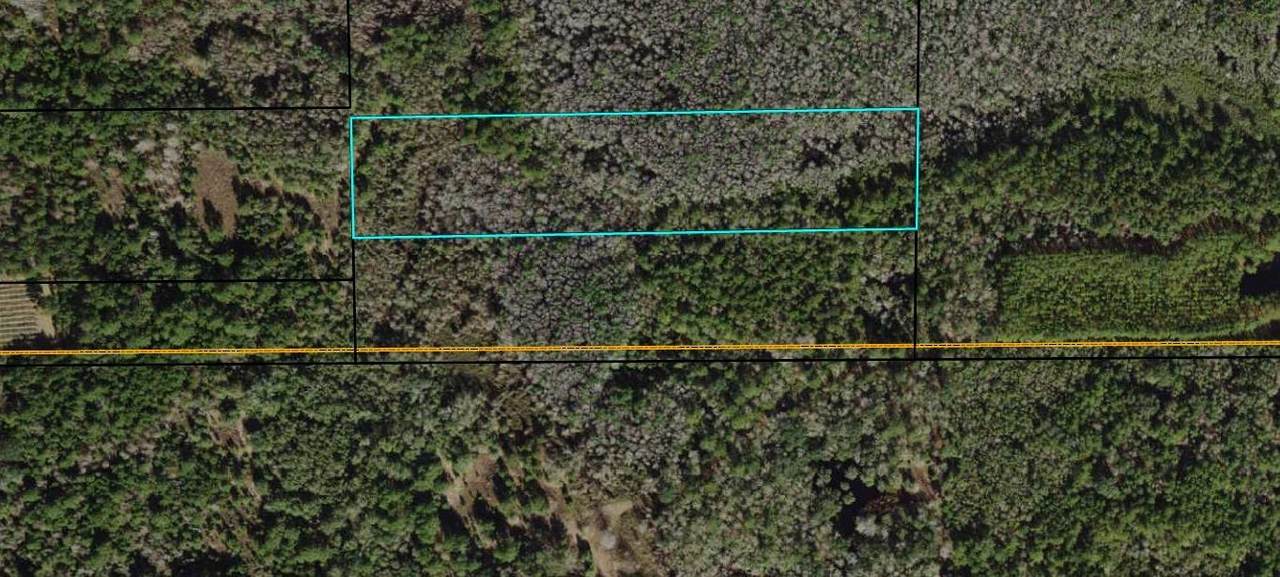 Vacant Quitman Highway - Photo 1