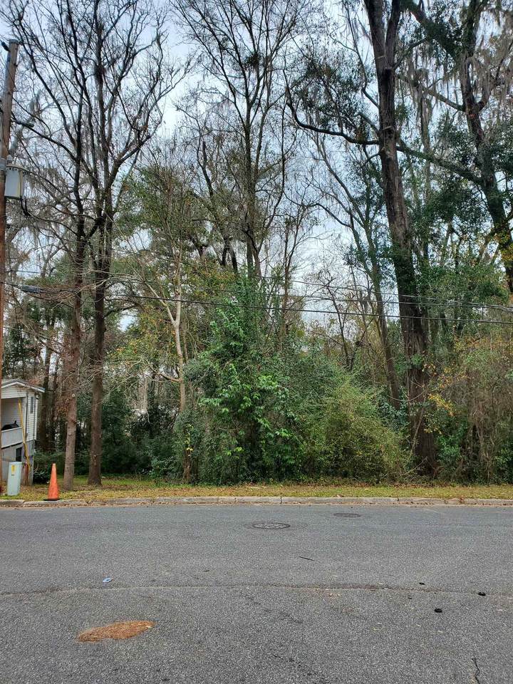 921 Bellamy Drive - Photo 1