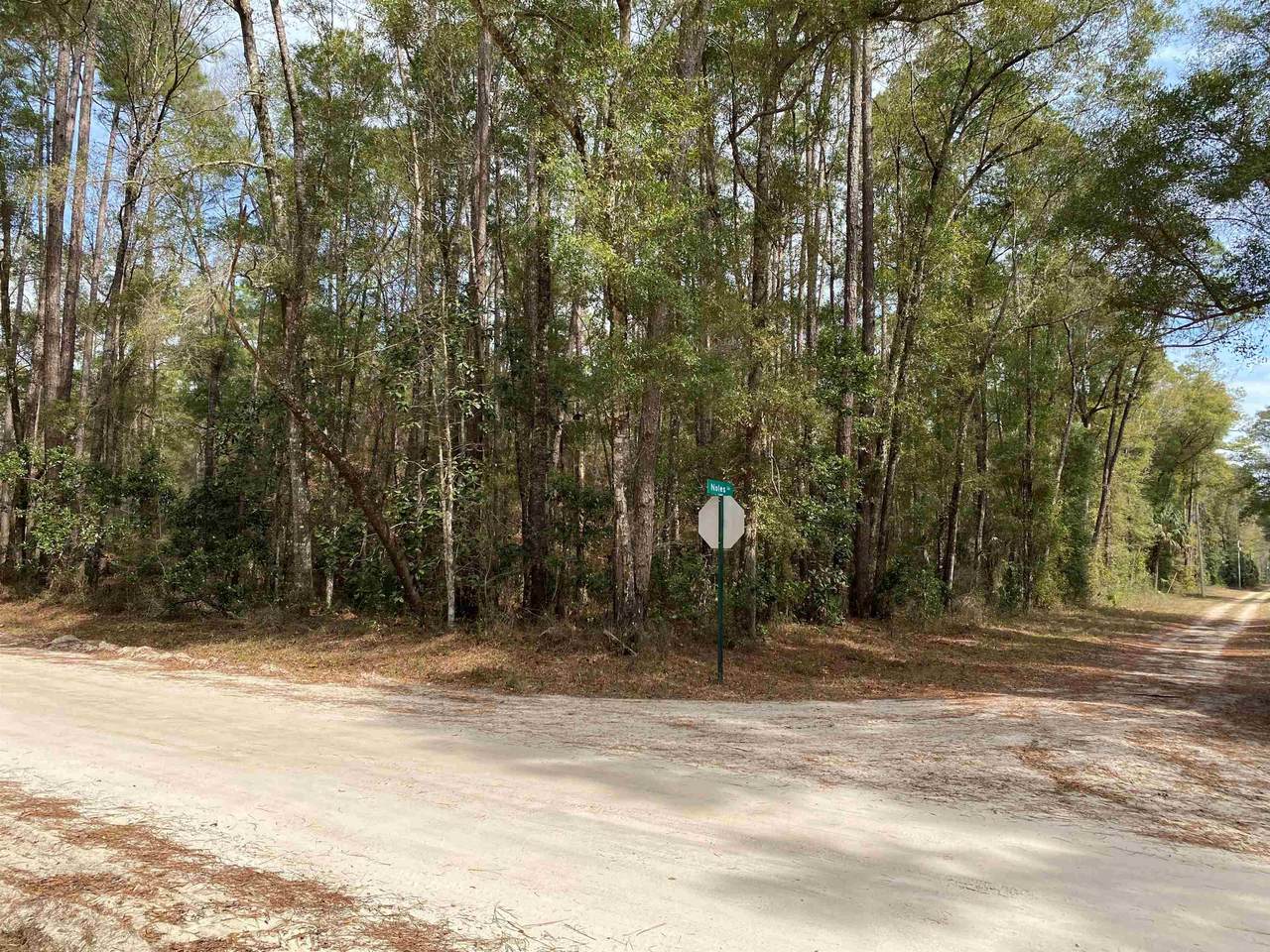 XX Noles Lane - Photo 1