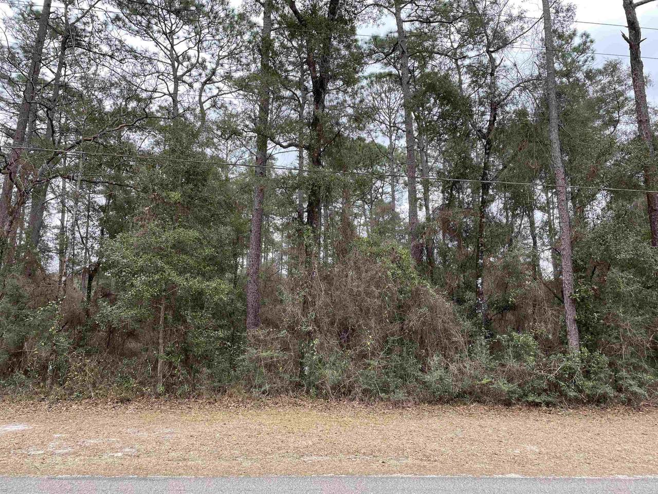 XX Tiger Hammock Road - Photo 1