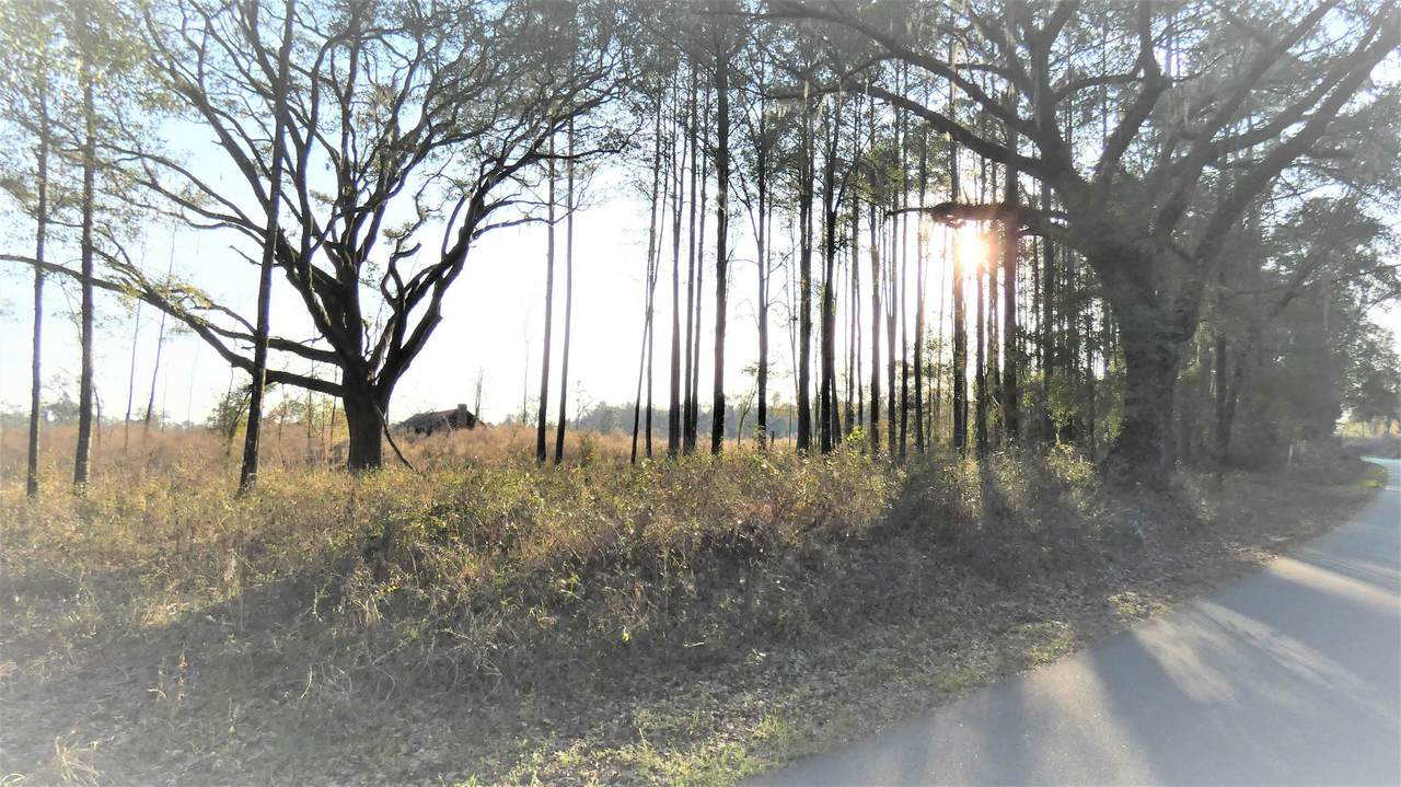 TBD Hartsfield Road - Photo 1
