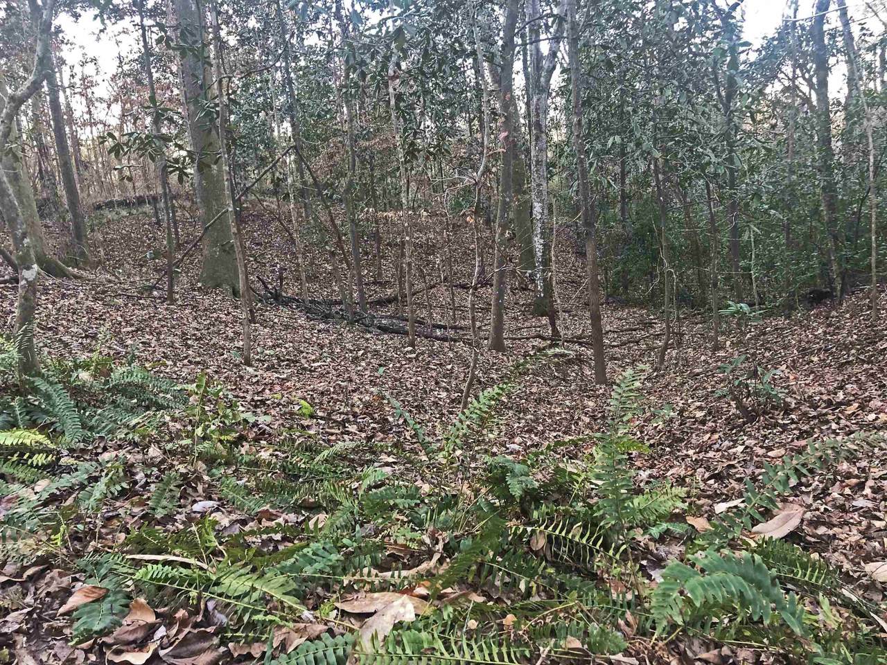 355 Upland Farm Road - Photo 1