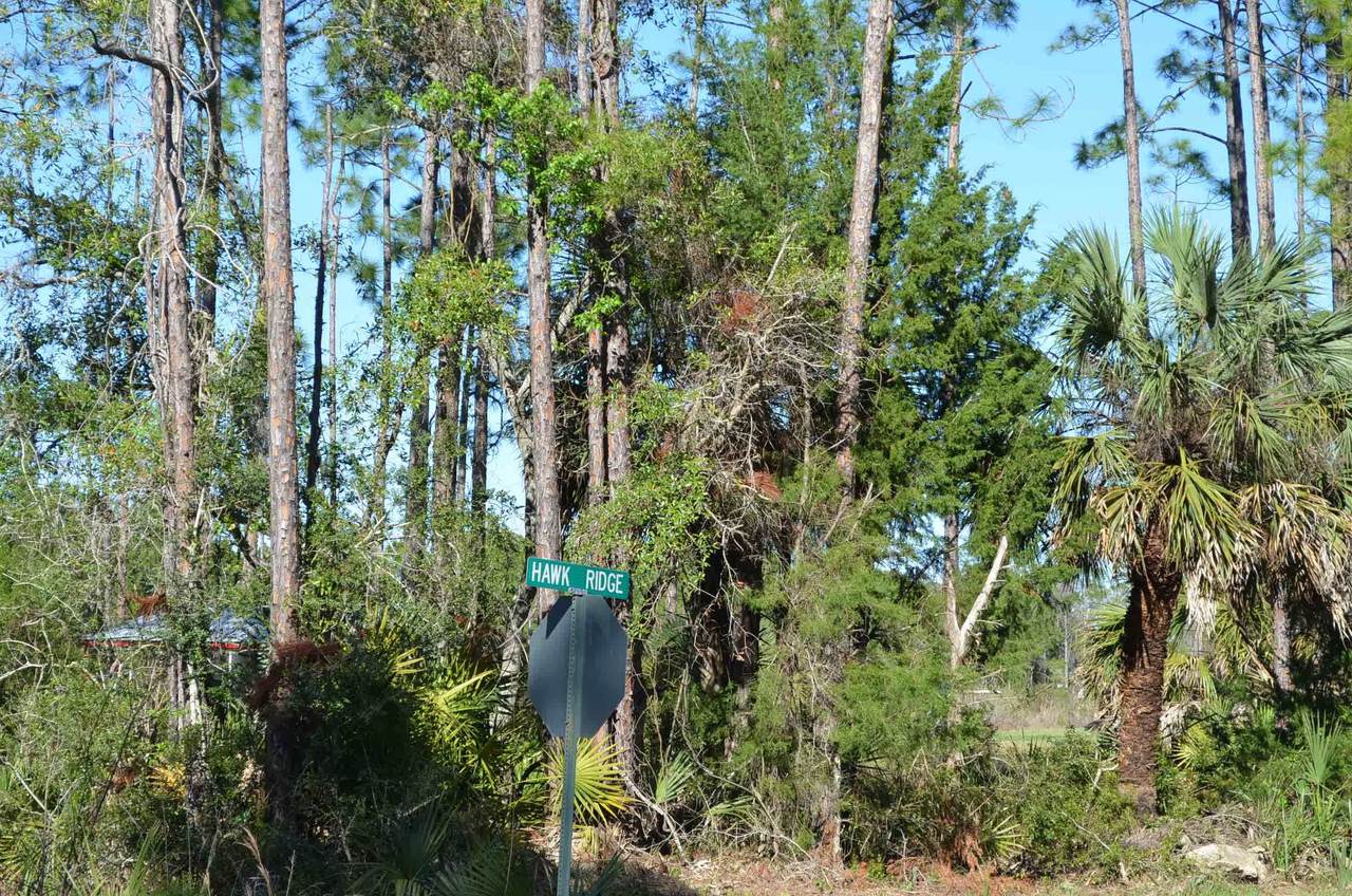 000 Hawk Ridge Road - Photo 1