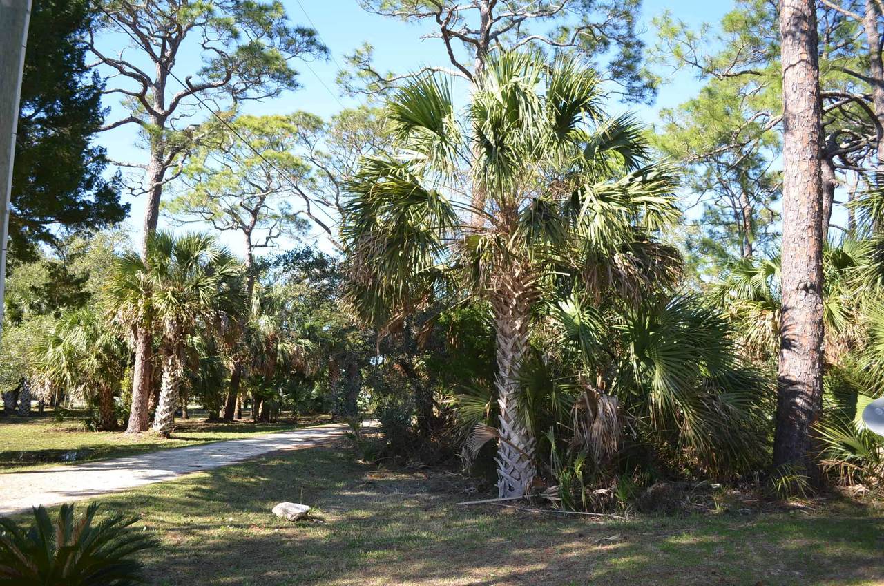 000 Osprey Road - Photo 1