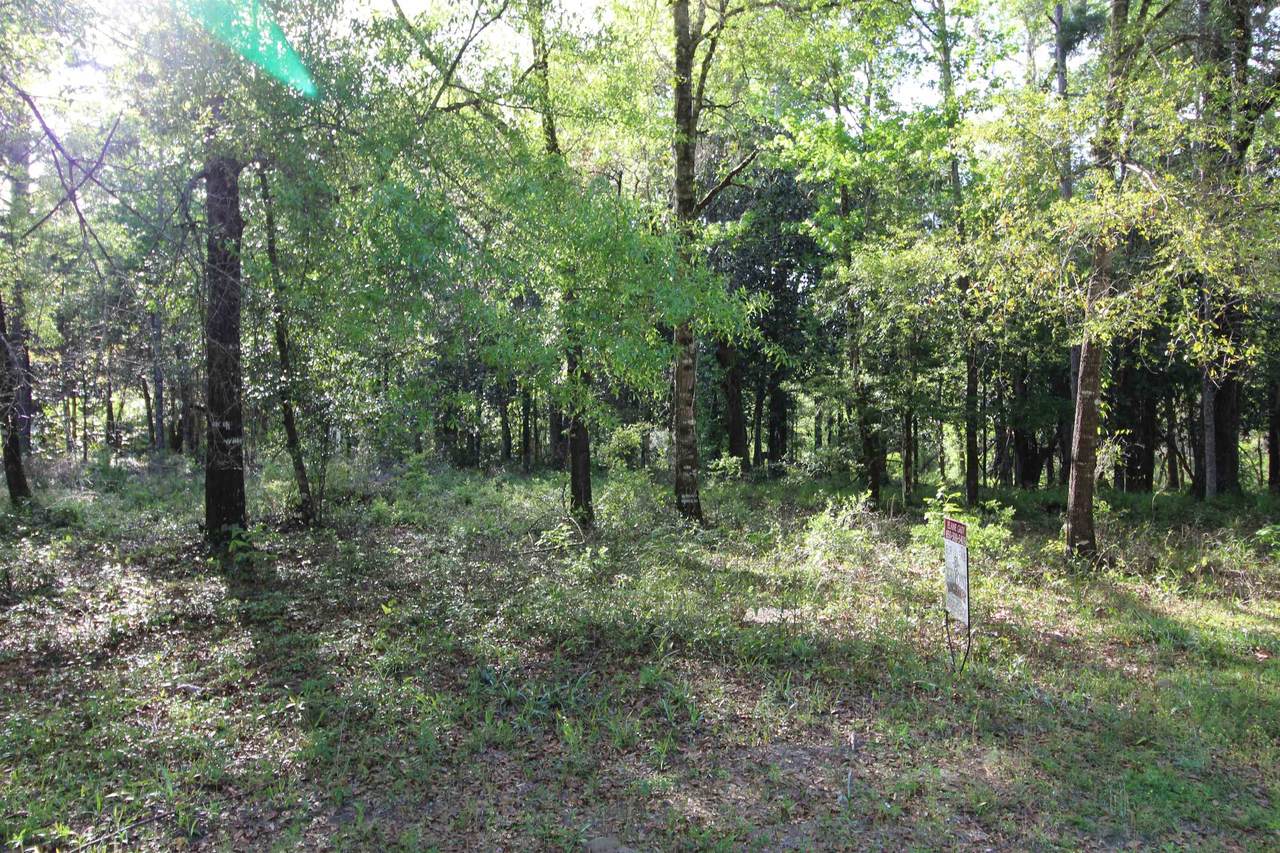Lots 6,7,8 Fonigan Road - Photo 1