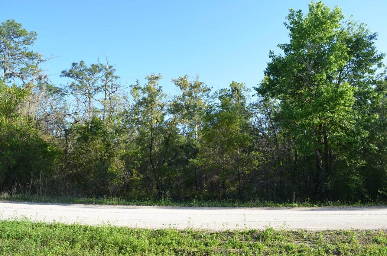 000 Royal Oak Drive - Photo 1